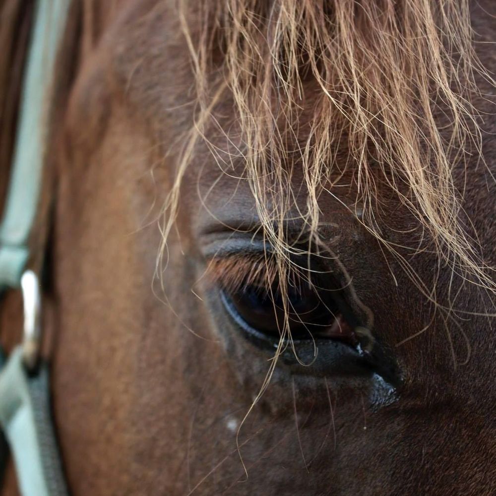 Meet your Posher, Christine